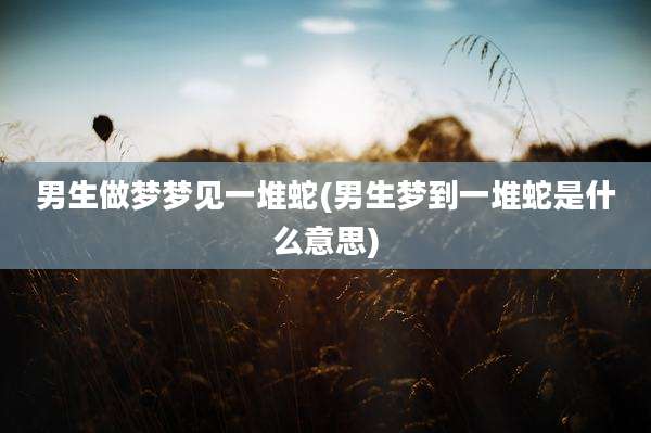 男生做梦梦见一堆蛇(男生梦到一堆蛇是什么意思)