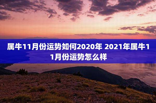 属牛11月份运势如何2020年 2021年属牛11月份运势怎么样