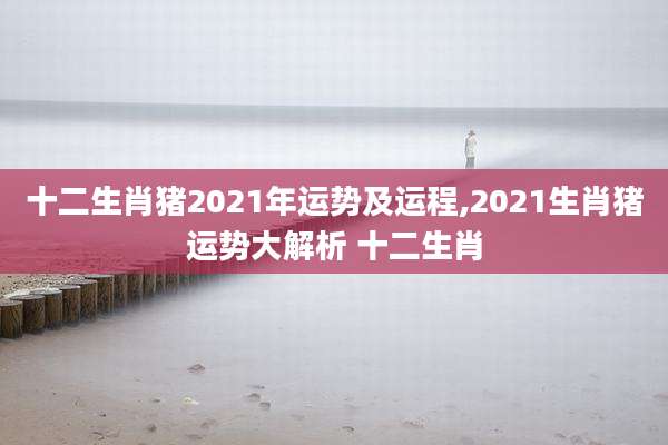 十二生肖猪2021年运势及运程,2021生肖猪运势大解析 十二生肖