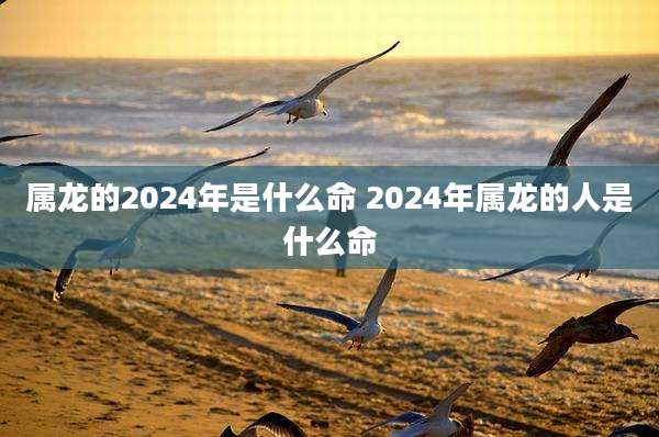 属龙的2024年是什么命 2024年属龙的人是什么命