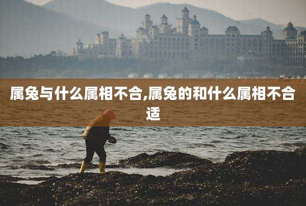 属兔与什么属相不合,属兔的和什么属相不合适