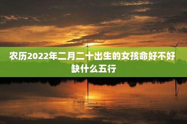 农历2022年二月二十出生的女孩命好不好 缺什么五行