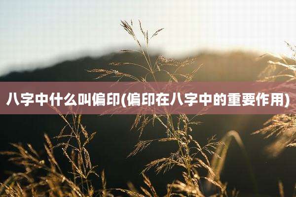 八字中什么叫偏印(偏印在八字中的重要作用)