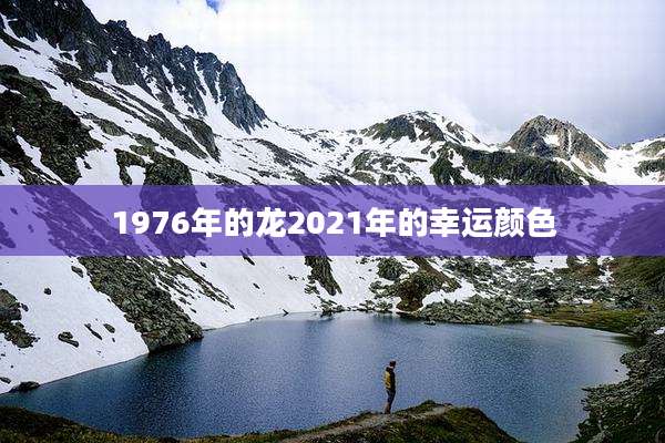 1976年的龙2021年的幸运颜色