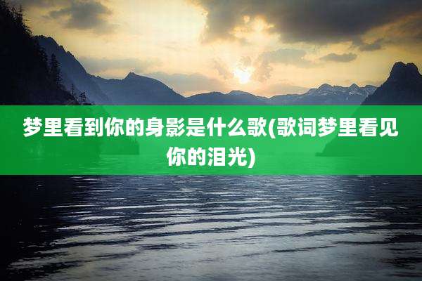 梦里看到你的身影是什么歌(歌词梦里看见你的泪光)