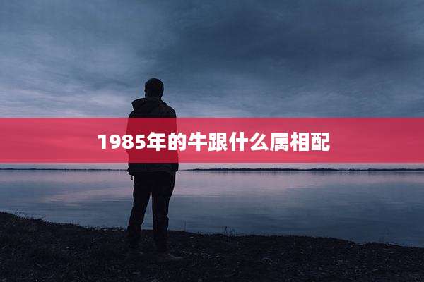 1985年的牛跟什么属相配