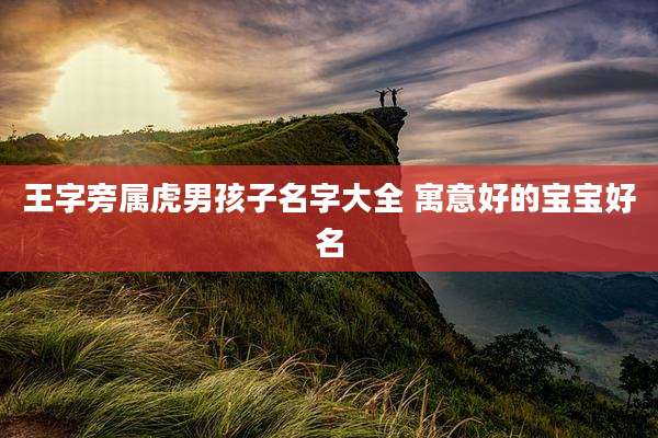 王字旁属虎男孩子名字大全 寓意好的宝宝好名