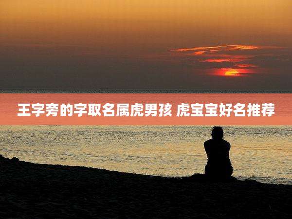 王字旁的字取名属虎男孩 虎宝宝好名推荐