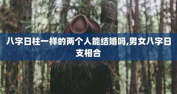 八字日柱一样的两个人能结婚吗,男女八字日支相合