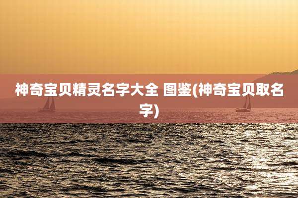 神奇宝贝精灵名字大全 图鉴(神奇宝贝取名字)