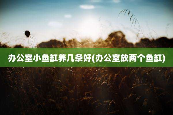 办公室小鱼缸养几条好(办公室放两个鱼缸)