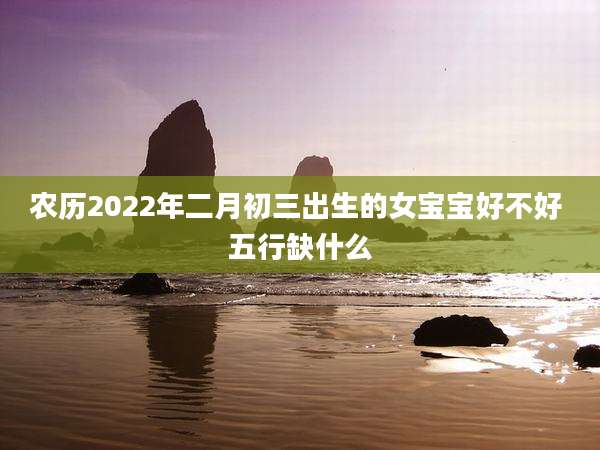 农历2022年二月初三出生的女宝宝好不好 五行缺什么