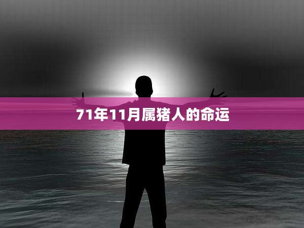71年11月属猪人的命运