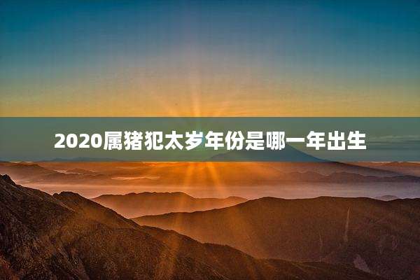 2020属猪犯太岁年份是哪一年出生
