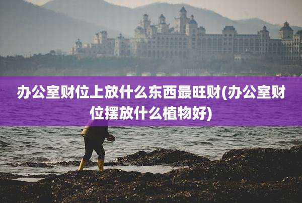 办公室财位上放什么东西最旺财(办公室财位摆放什么植物好)