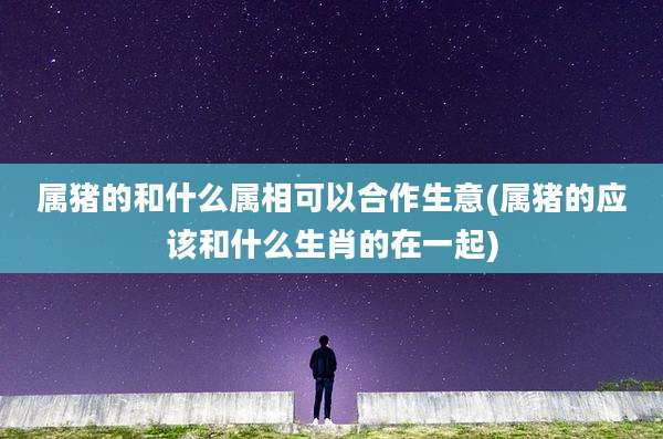 属猪的和什么属相可以合作生意(属猪的应该和什么生肖的在一起)