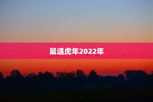 鼠遇虎年2022年