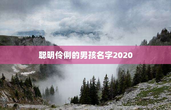 聪明伶俐的男孩名字2020