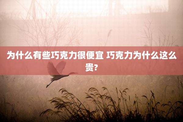 为什么有些巧克力很便宜 巧克力为什么这么贵?