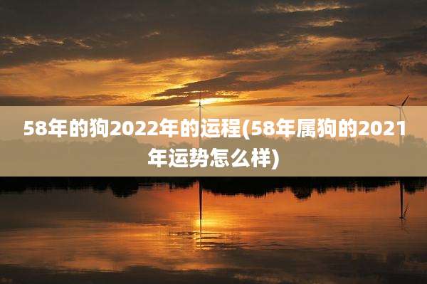 58年的狗2022年的运程(58年属狗的2021年运势怎么样)