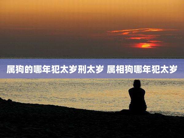 属狗的哪年犯太岁刑太岁 属相狗哪年犯太岁