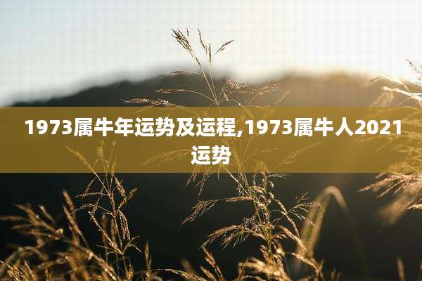 1973属牛年运势及运程,1973属牛人2021运势