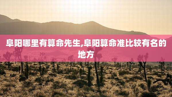 阜阳哪里有算命先生,阜阳算命准比较有名的地方