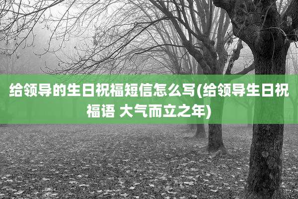 给领导的生日祝福短信怎么写(给领导生日祝福语 大气而立之年)