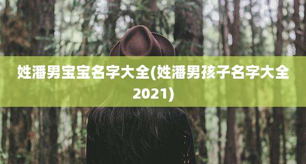 姓潘男宝宝名字大全(姓潘男孩子名字大全2021)