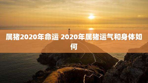 属猪2020年命运 2020年属猪运气和身体如何