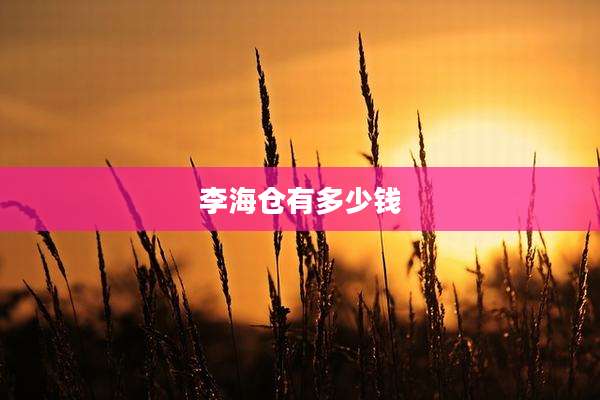 李海仓有多少钱