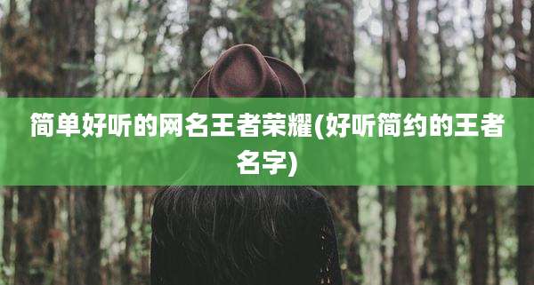 简单好听的网名王者荣耀(好听简约的王者名字)