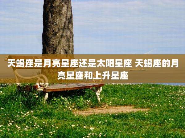 天蝎座是月亮星座还是太阳星座 天蝎座的月亮星座和上升星座