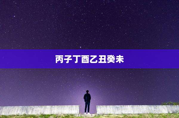 丙子丁酉乙丑癸未