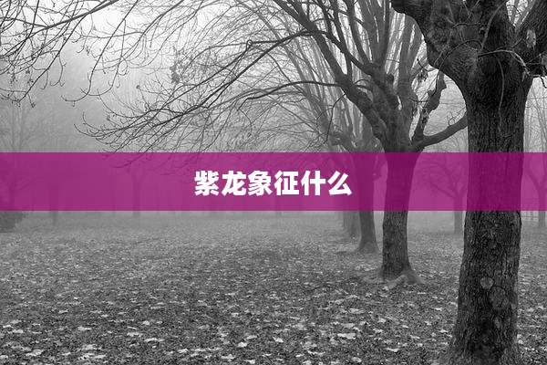 紫龙象征什么
