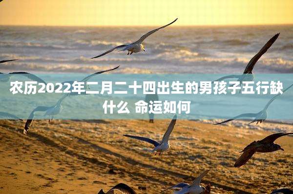 农历2022年二月二十四出生的男孩子五行缺什么 命运如何