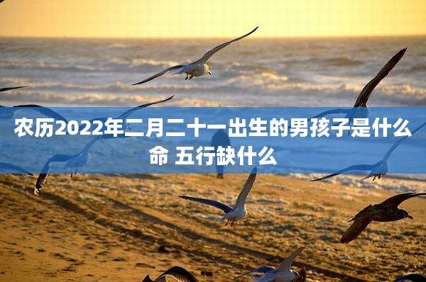 农历2022年二月二十一出生的男孩子是什么命 五行缺什么