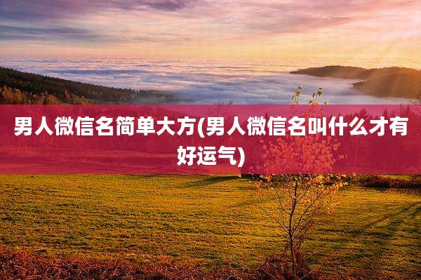 男人微信名简单大方(男人微信名叫什么才有好运气)