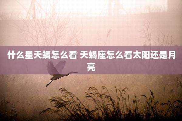 什么星天蝎怎么看 天蝎座怎么看太阳还是月亮