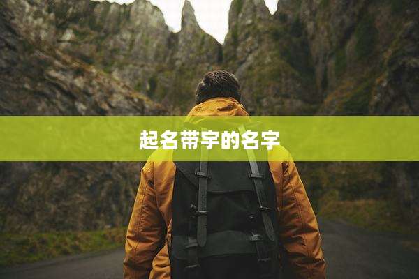 起名带宇的名字