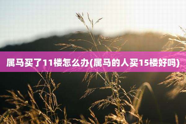 属马买了11楼怎么办(属马的人买15楼好吗)