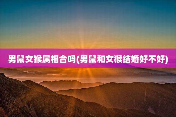 男鼠女猴属相合吗(男鼠和女猴结婚好不好)