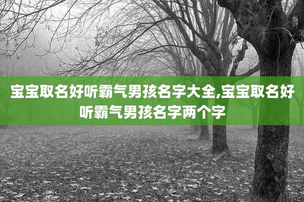 宝宝取名好听霸气男孩名字大全,宝宝取名好听霸气男孩名字两个字