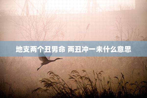 地支两个丑男命 两丑冲一未什么意思