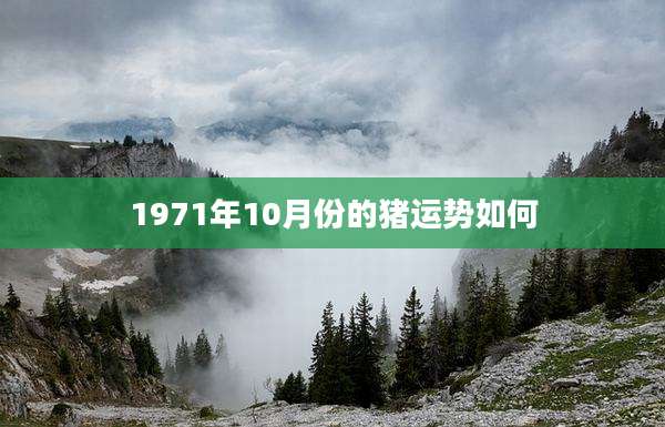 1971年10月份的猪运势如何