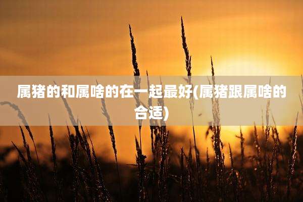 属猪的和属啥的在一起最好(属猪跟属啥的合适)
