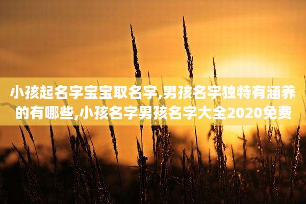 小孩起名字宝宝取名字,男孩名字独特有涵养的有哪些,小孩名字男孩名字大全2020免费