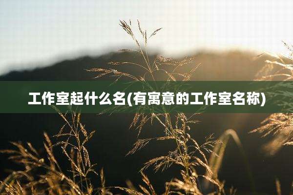 工作室起什么名(有寓意的工作室名称)