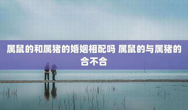 属鼠的和属猪的婚姻相配吗 属鼠的与属猪的合不合