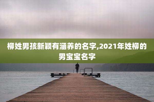 柳姓男孩新颖有涵养的名字,2021年姓柳的男宝宝名字